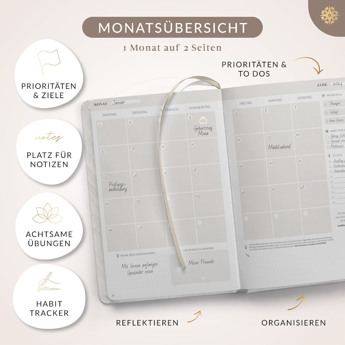 Studienplaner Undatiert - DIN A5